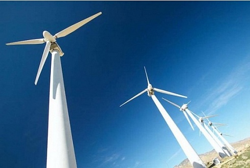 «Мы устанавливаем ветрогенераторы, забывая, что их необходимо обслуживать». Власти Архангельской области выбирают биотопливо